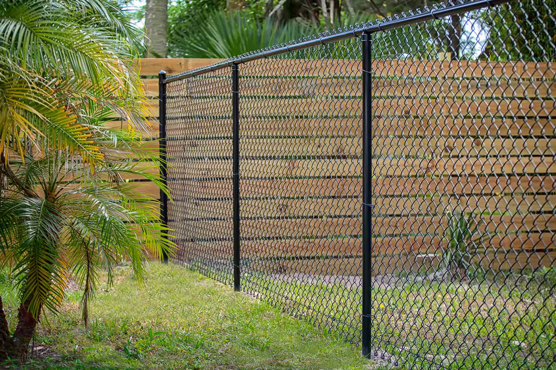 A black chain-link fence in a residential yard, next to a wooden horizontal slat fence and a palm tree A black chain-link fence in a residential yard, next to a wooden horizontal slat fence and a palm tree