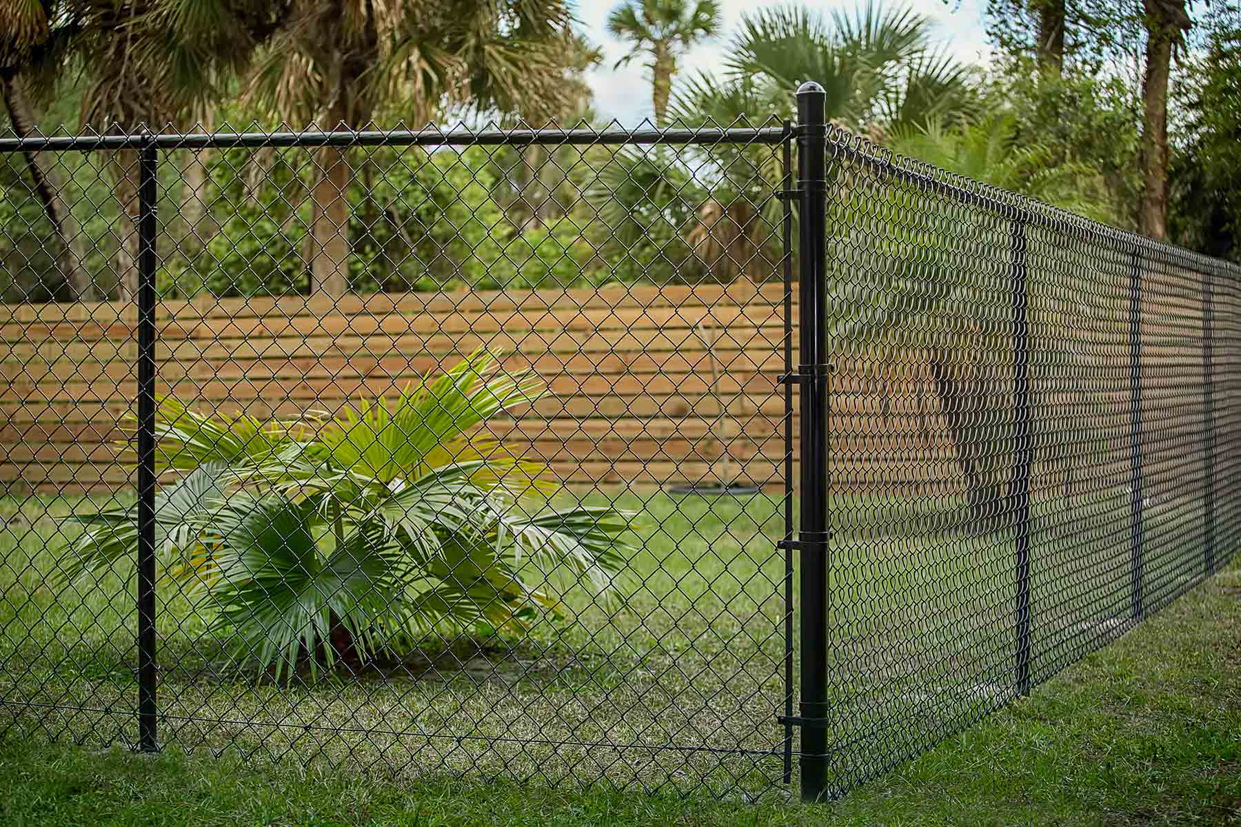 A backyard showing a black chain link fencing and a wooden privacy fence A backyard showing a black chain link fencing and a wooden privacy fence