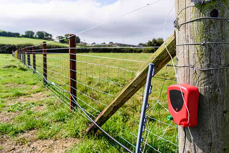 Electric fence cost
