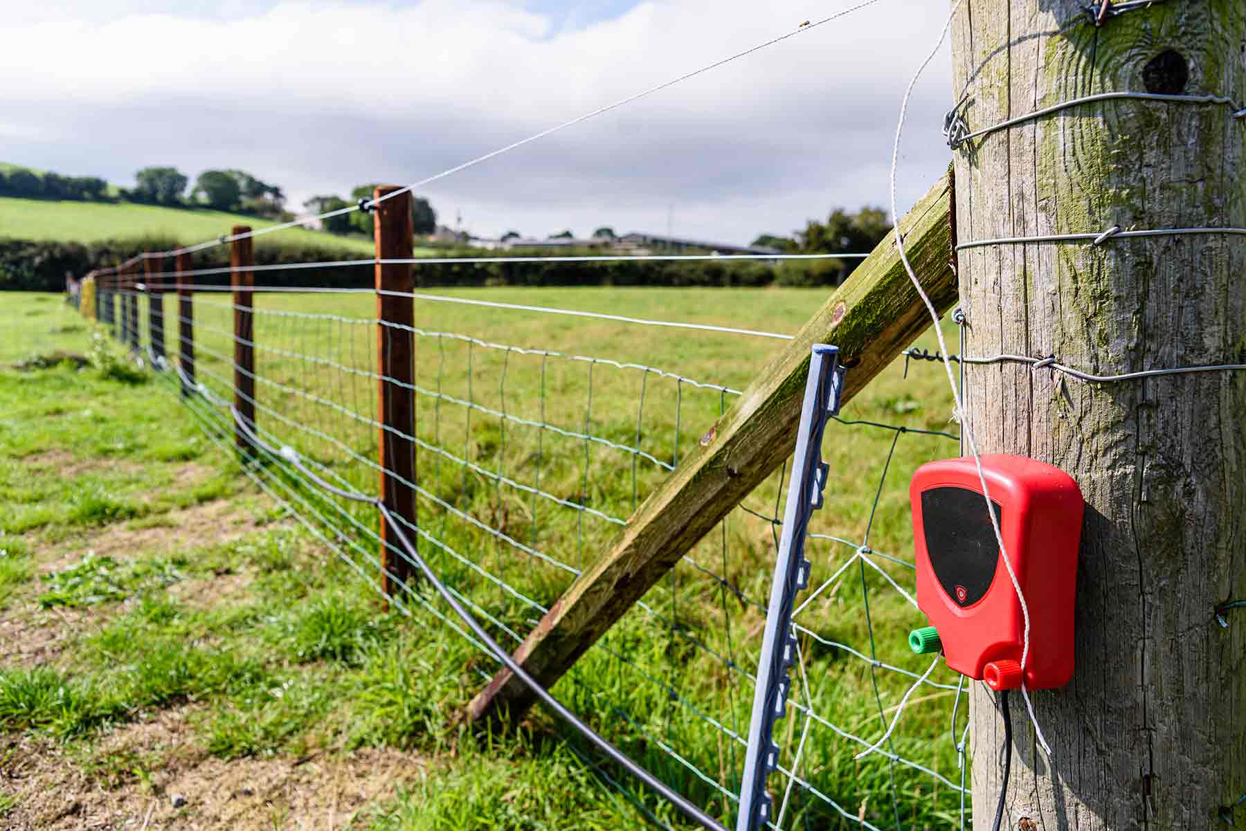 Electric fence cost energizer end of fence in field Electric fence cost energizer end of fence in field