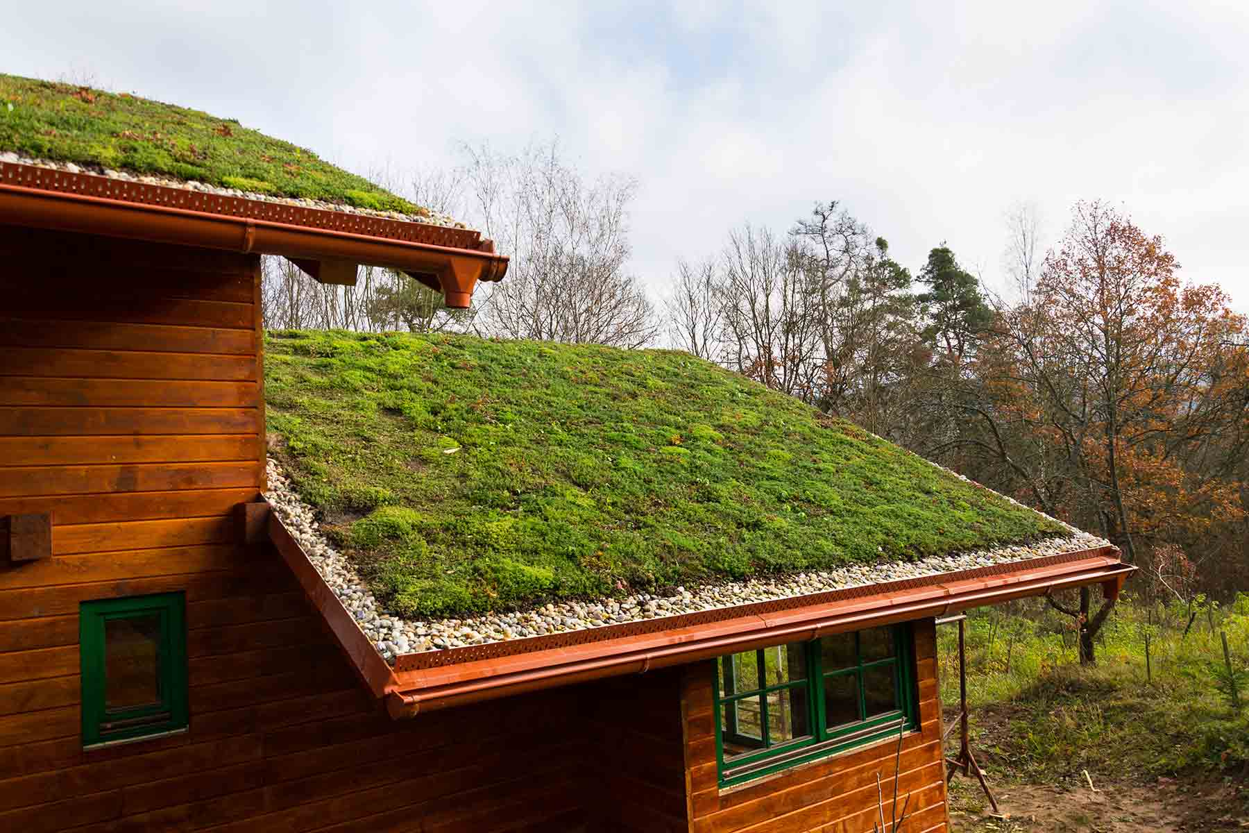 A house with a living green roof covered in vegetation