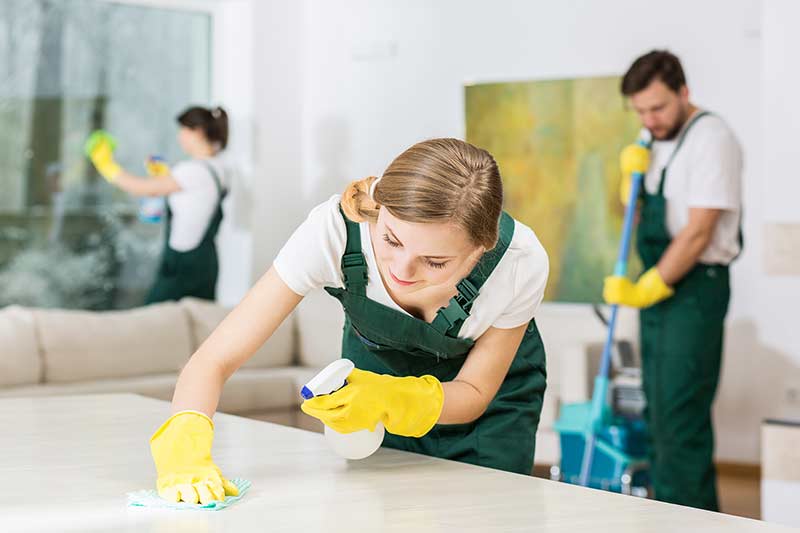 Is a cleaning business profitable?