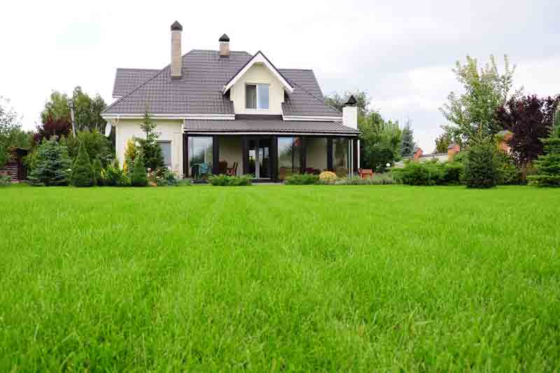 Lawn Doctor vs. TruGreen cost