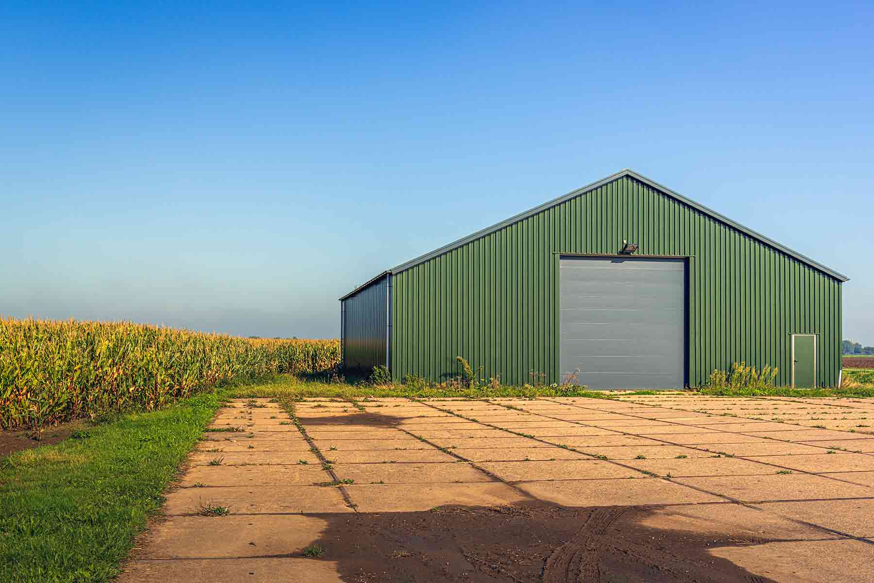 A modern green metal barn building on an agricultural land with cornfields