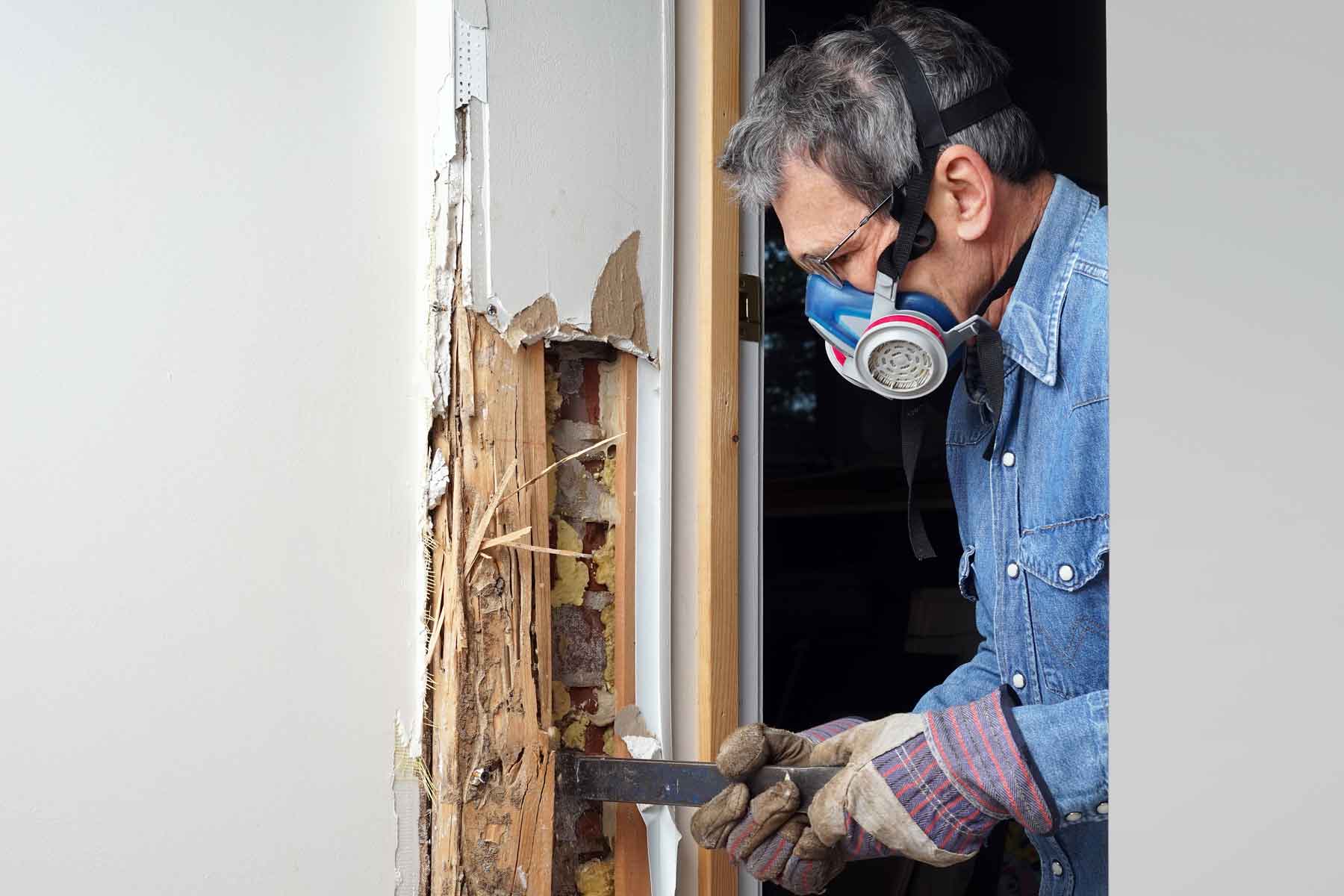 Worker in safety mask repairing severe termite damage on wooden door frame